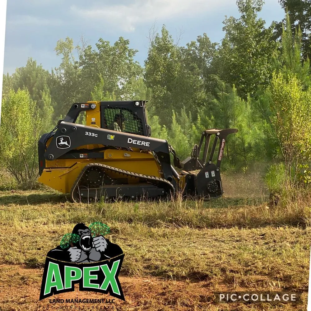 Top-rated yard maintenance in Covington, GA - Apex Land Management