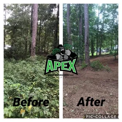 Apex Land Management Logo