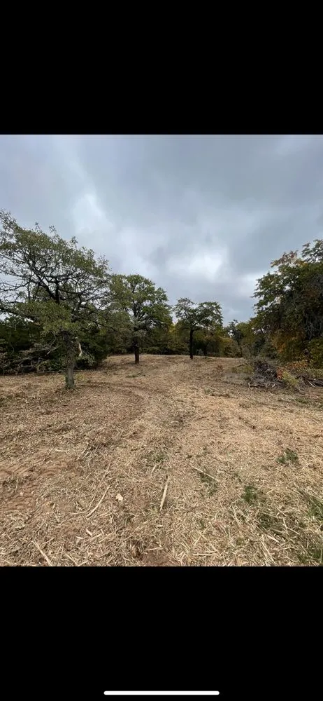 Top-rated garden landscaping in Oklahoma City, OK by Apex Land Solutions