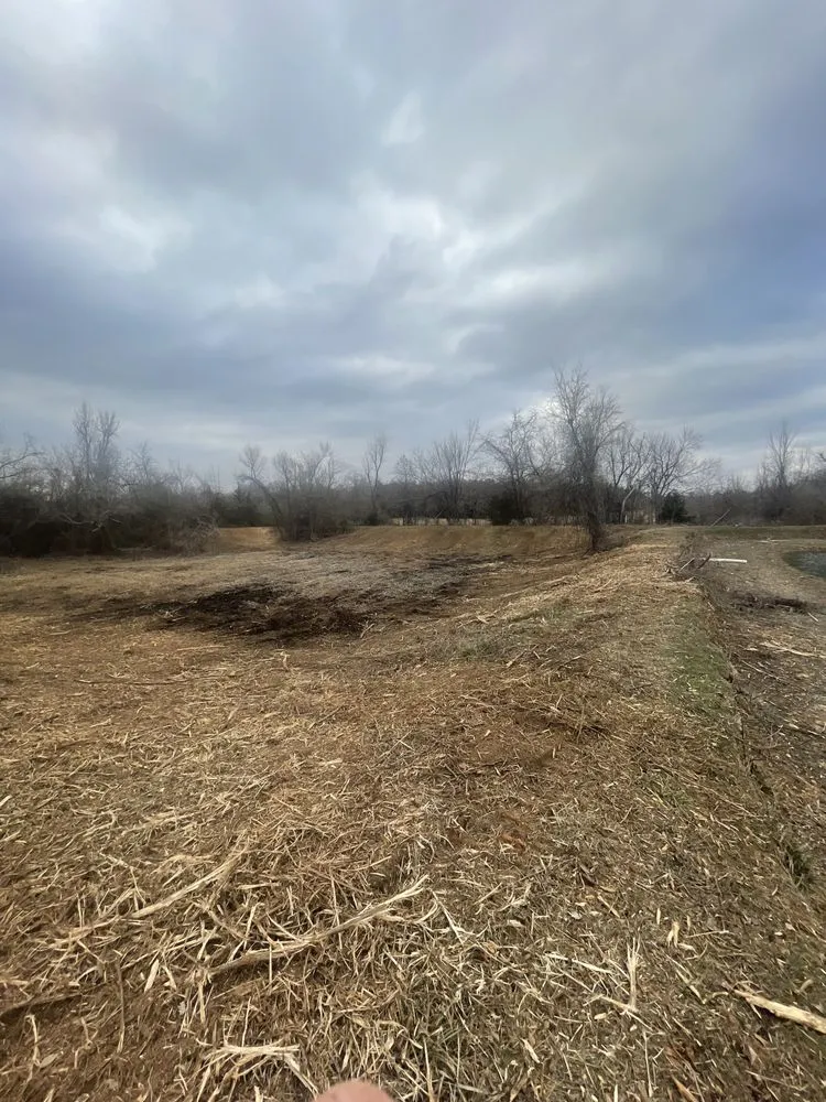 Expert yard cleanup service in Oklahoma City, OK - Apex Land Solutions