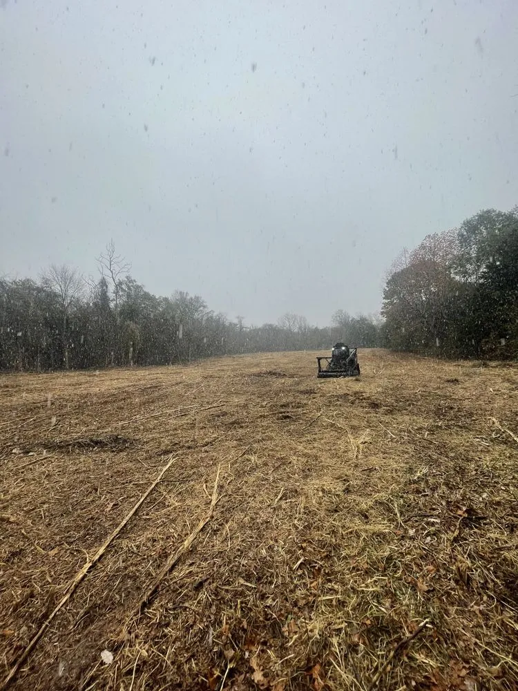 Local lawn care service experts serving Oklahoma City, OK - Apex Land Solutions