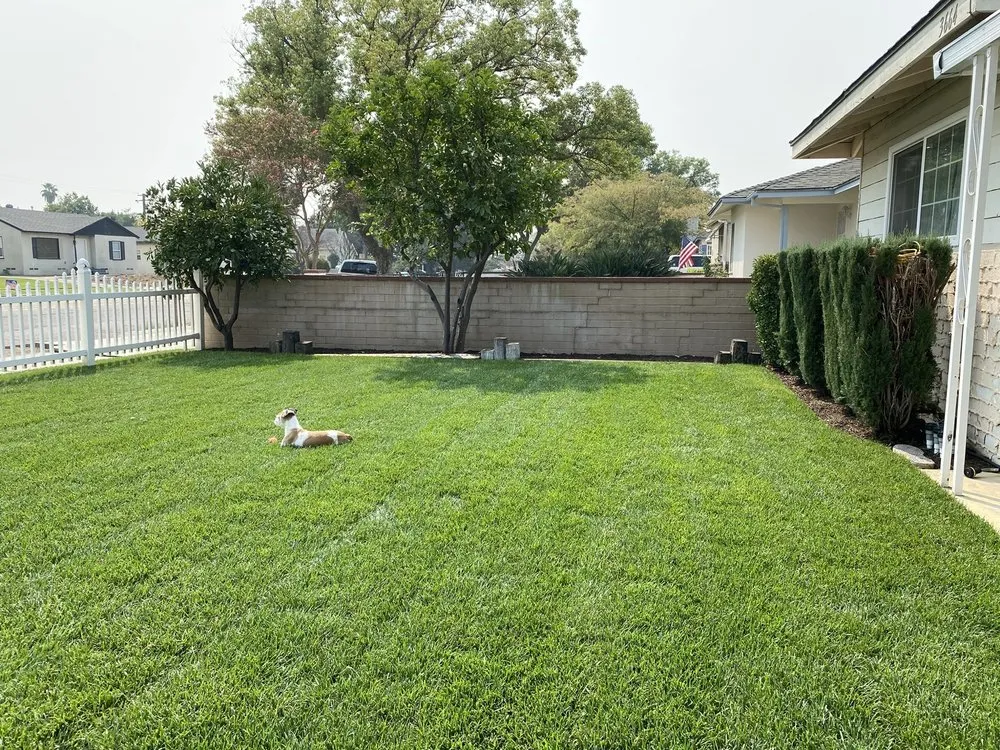 Trusted landscape design for year-round maintenance in Riverside, CA by Apex Landscape Innovations