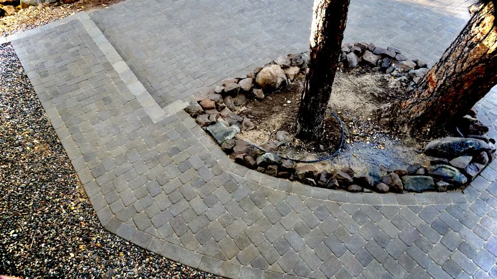 Professional yard maintenance experts serving Surprise, AZ - Apex Landscape