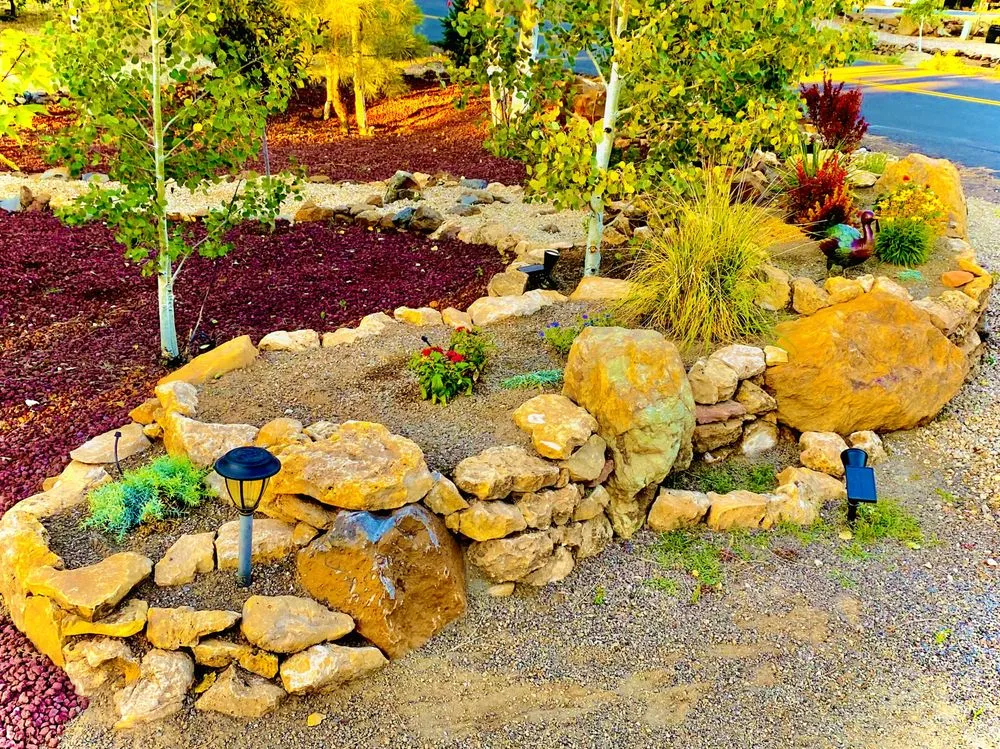 Local landscape design in Surprise, AZ - Apex Landscape