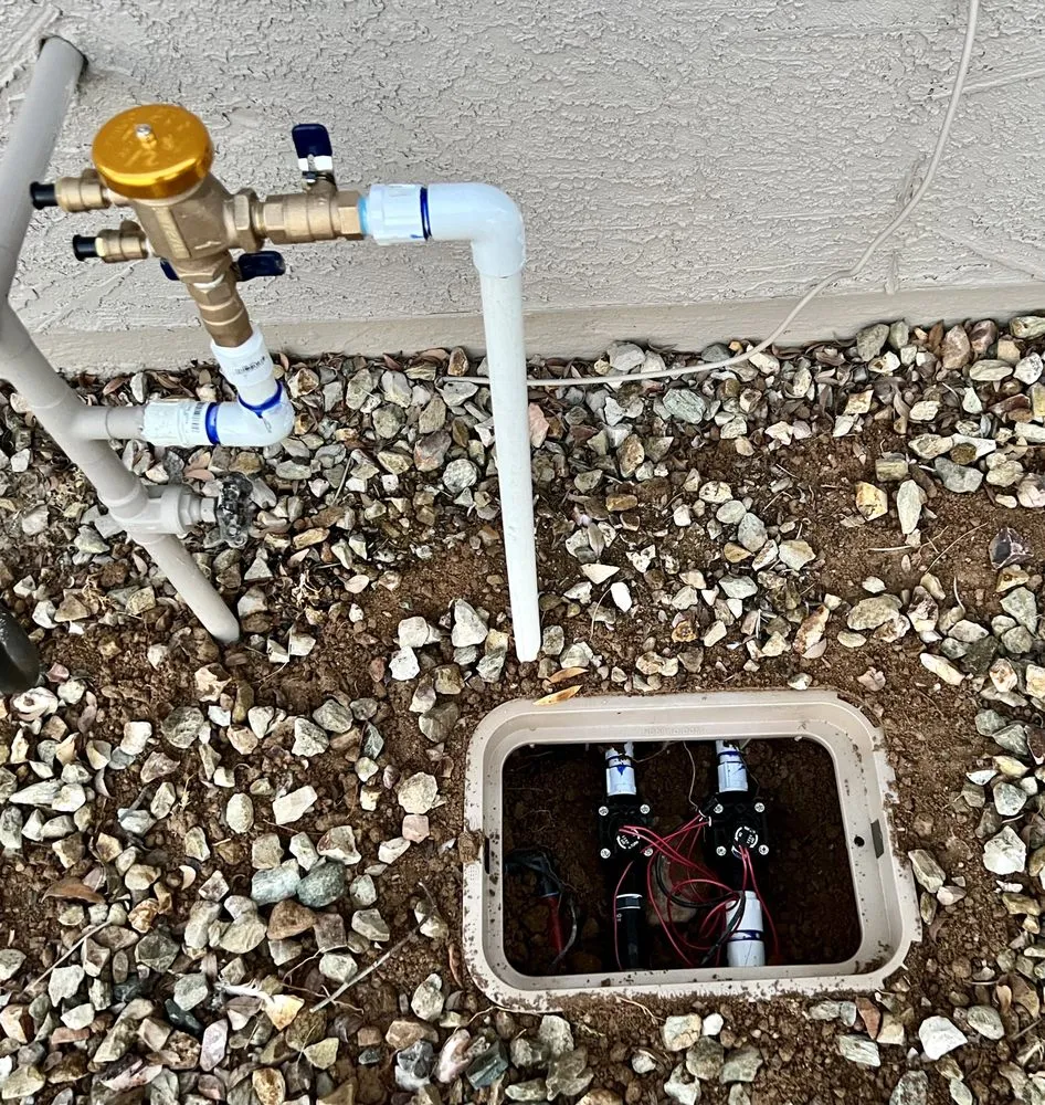 Affordable residential landscaping for year-round maintenance in Surprise, AZ by Apex Landscape