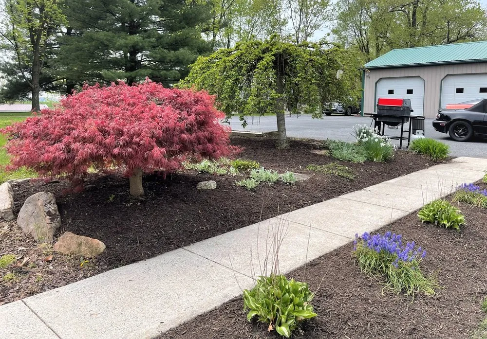 Local landscape installation in Conshohocken, PA by Apex Landscaping & Construction