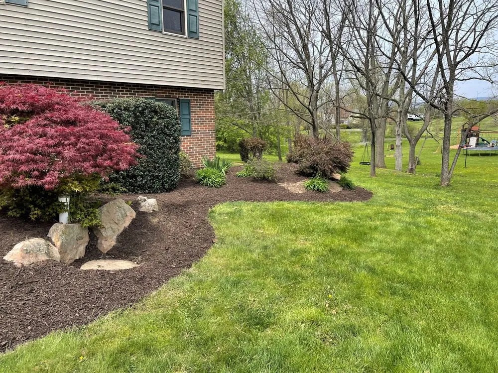 Custom yard cleanup service experts serving Conshohocken, PA - Apex Landscaping & Construction