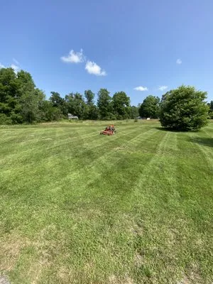 Apex Landscaping & Lawncare