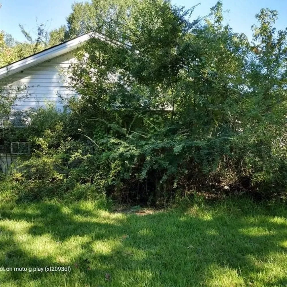 Top-rated outdoor landscaping in Carthage, TX by Apex Landscaping