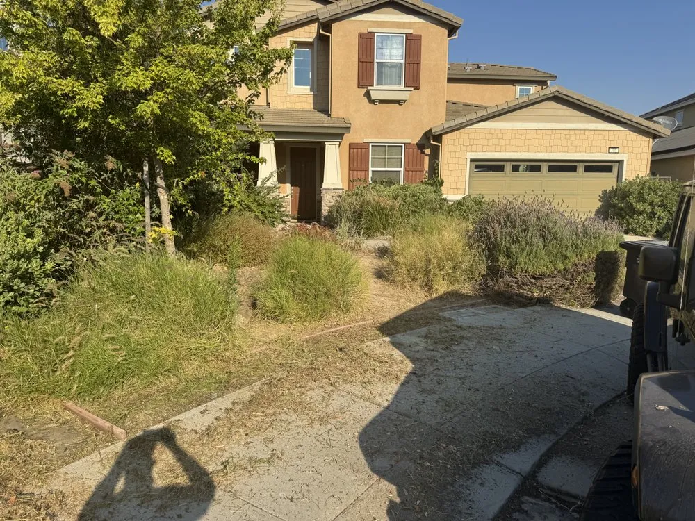 Reliable residential landscaping for homes in Discovery Bay, CA by Apex Landscaping