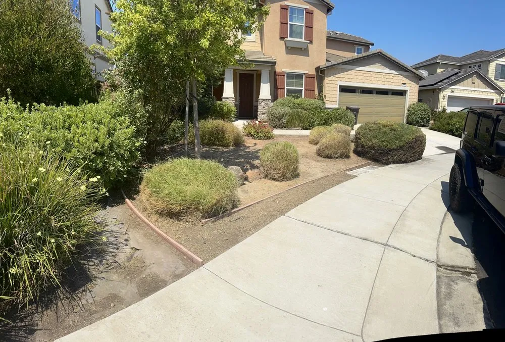 Professional landscaping services for outdoor upgrades across Discovery Bay, CA - Apex Landscaping