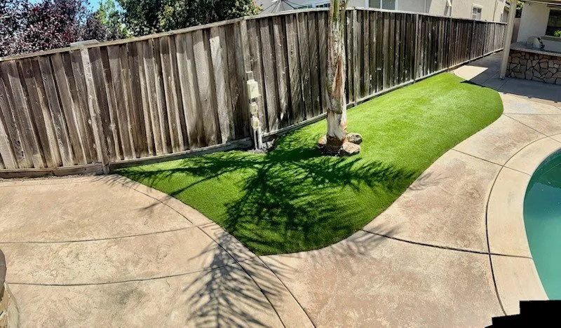 Affordable yard cleanup service experts serving Discovery Bay, CA - Apex Landscaping