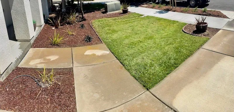 Professional lawn mowing service in Discovery Bay, CA by Apex Landscaping