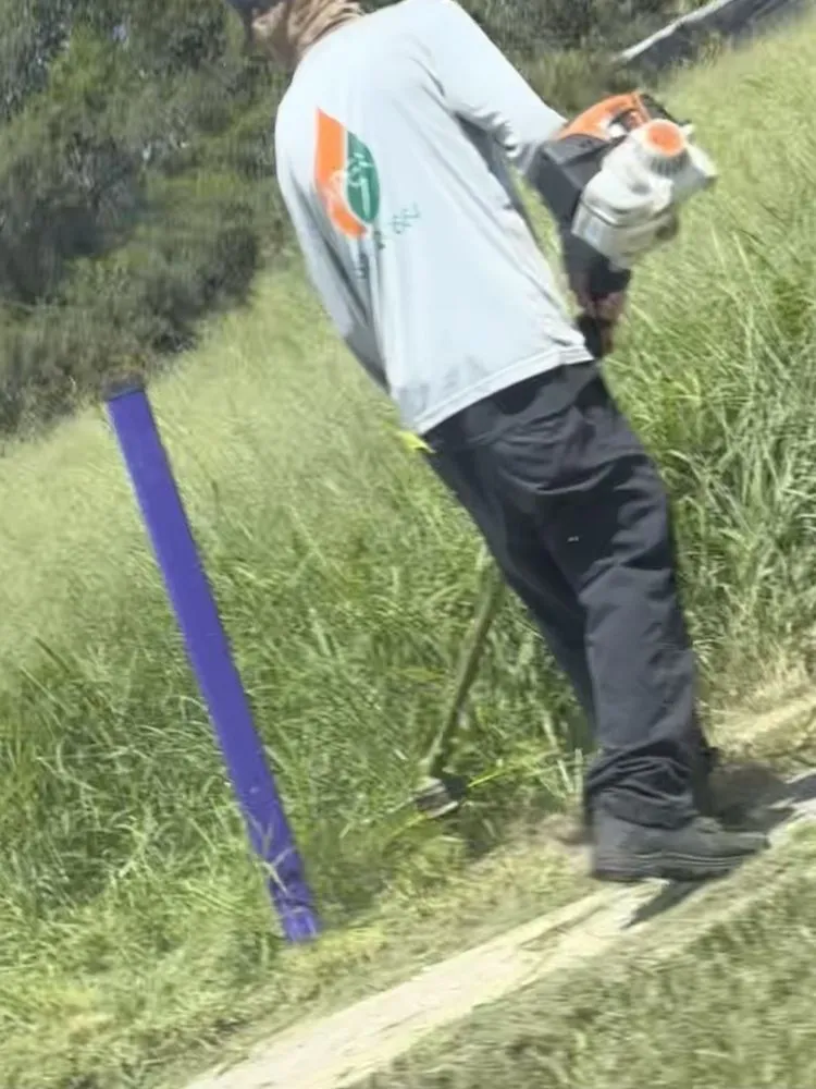 Professional yard cleanup service experts serving Eustis, FL - Apex Landscaping