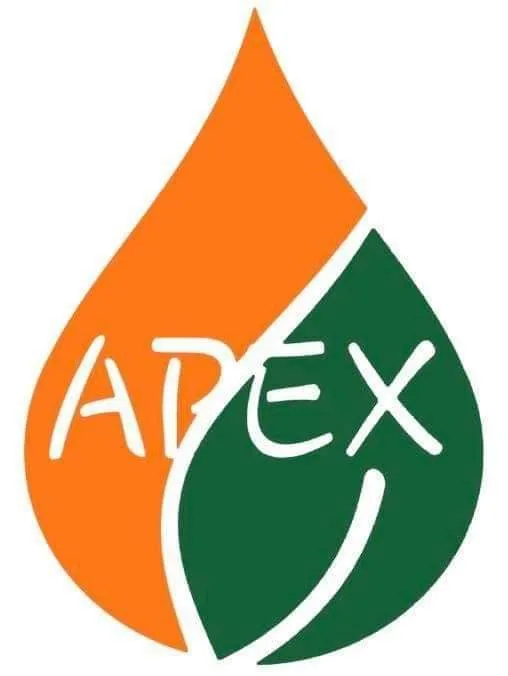 Custom garden landscaping for homes in Eustis, FL by Apex Landscaping