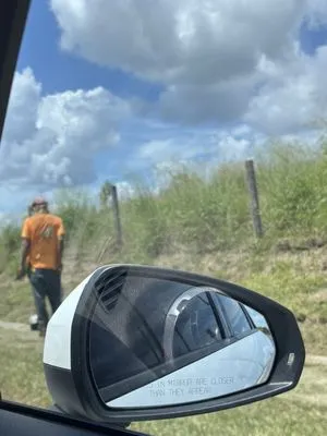 Apex Landscaping Logo