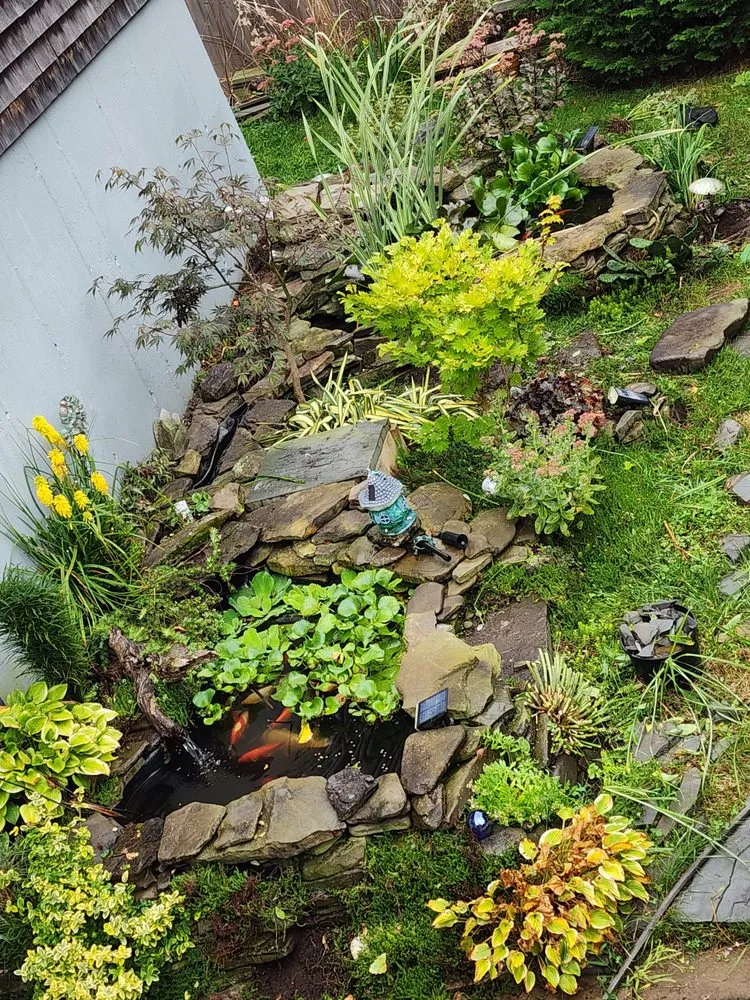 Expert outdoor landscaping in Harwich, MA - Apex Landscaping