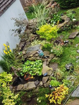 Apex Landscaping Logo