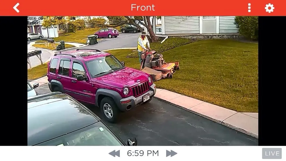 Custom yard cleanup service near you in Hawthorn Woods, IL by Apex Landscaping