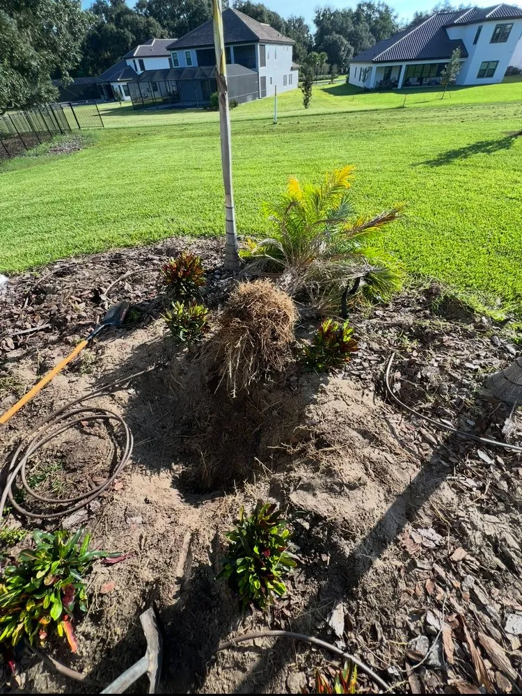 Top-rated garden landscaping for beautiful yards in Plant City, FL by Apex Landscaping