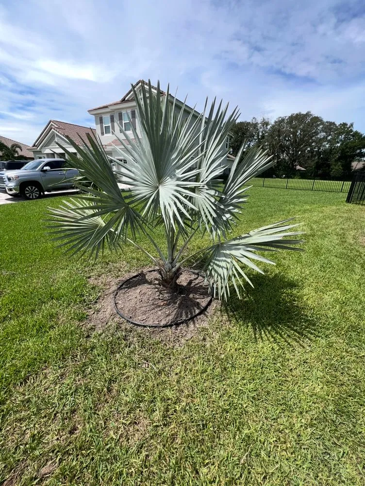 Expert lawn mowing service for beautiful yards across Plant City, FL - Apex Landscaping