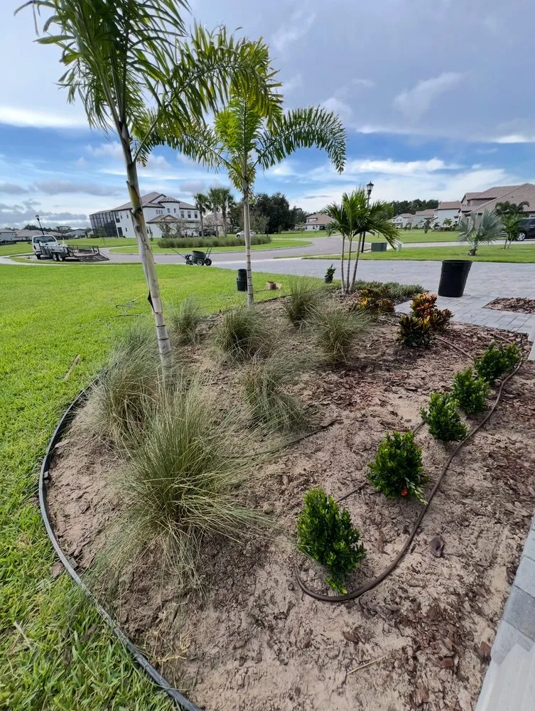 Expert residential landscaping experts serving Plant City, FL - Apex Landscaping