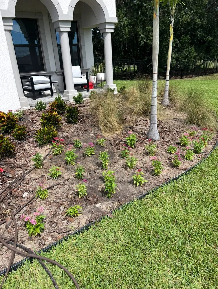 Trusted garden landscaping for beautiful yards across Plant City, FL - Apex Landscaping
