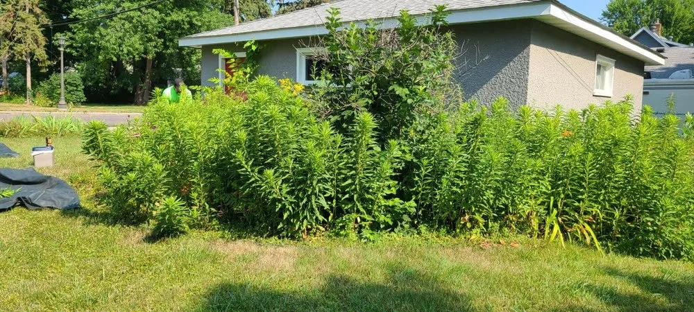 Affordable landscape design in St Paul, MN - Apex Landscaping