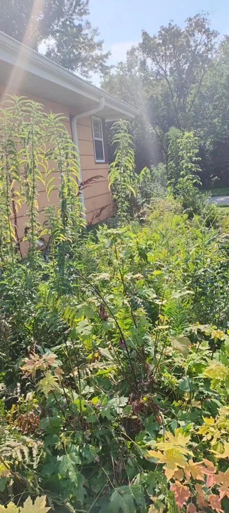 Professional landscape installation experts serving St Paul, MN - Apex Landscaping