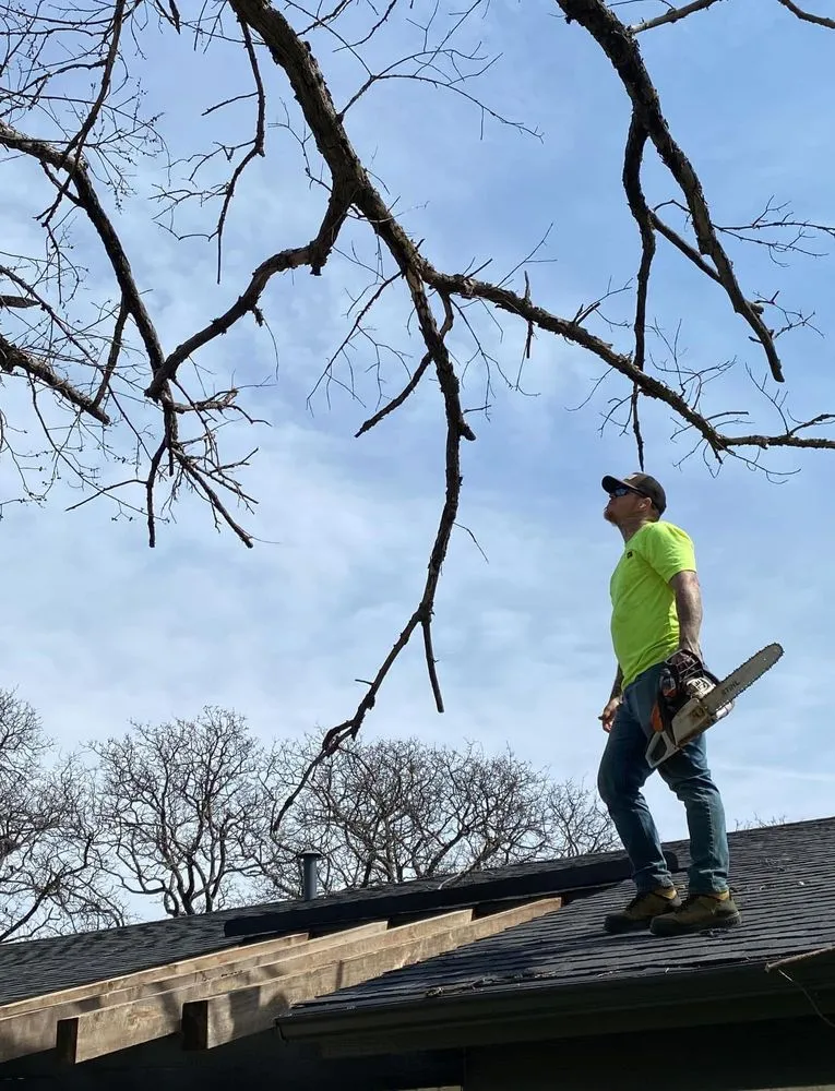 Expert landscaping services experts serving Burleson, TX - Apex Lawn & Landscape