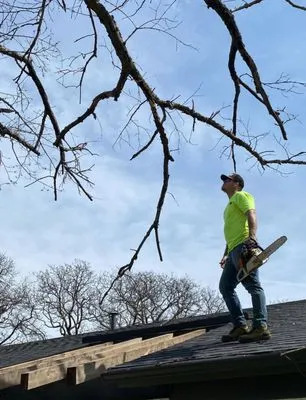 Apex Lawn & Landscape Logo