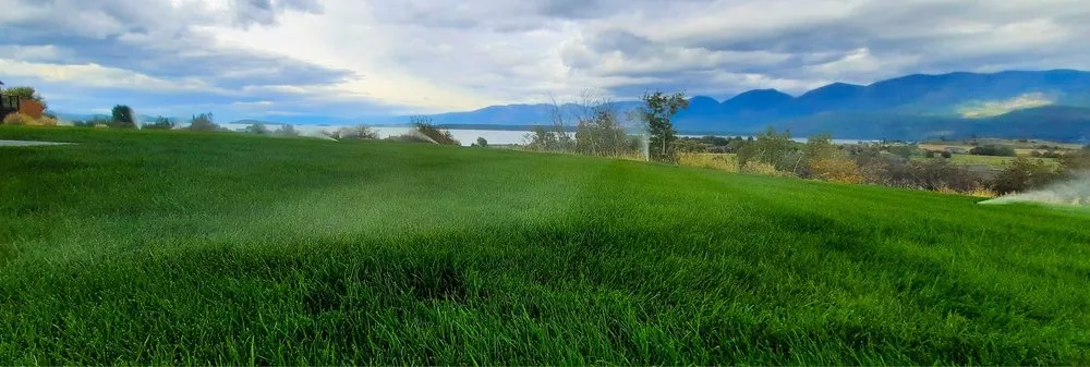 Professional yard cleanup service for homes in Polson, MT by Apex Lawn and Landscape