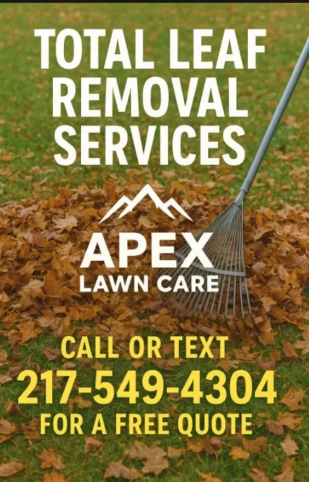 Professional landscape installation for outdoor upgrades in Mattoon, IL by Apex Lawn Care