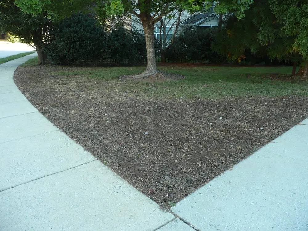 Local yard cleanup service near you in Apex, NC by Apex Lawn Company