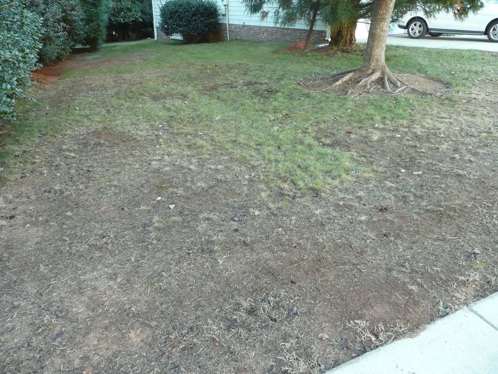 Professional landscaping services in Apex, NC - Apex Lawn Company