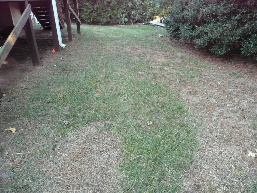 Professional outdoor landscaping in Apex, NC by Apex Lawn Company