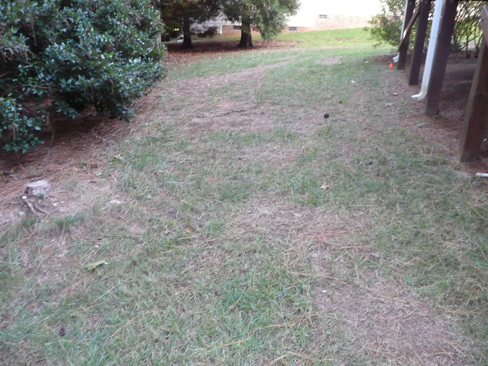 Reliable lawn care service for beautiful yards across Apex, NC - Apex Lawn Company
