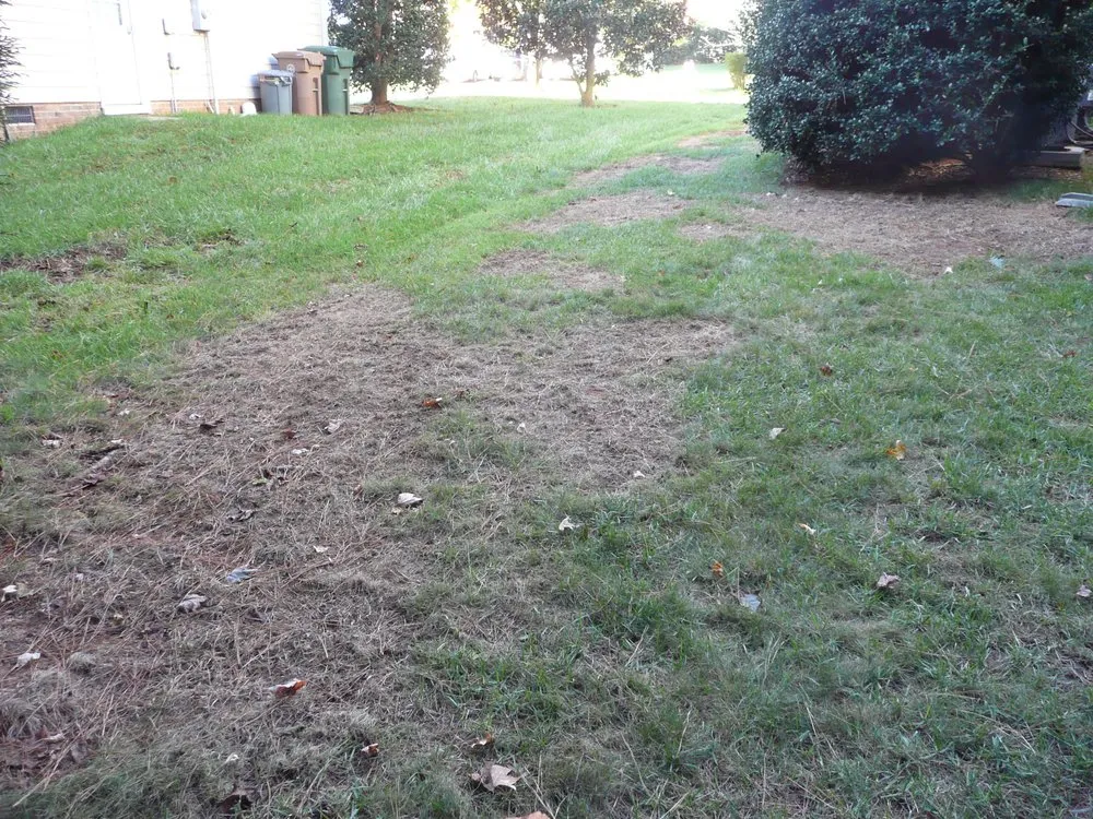 Professional residential landscaping in Apex, NC - Apex Lawn Company