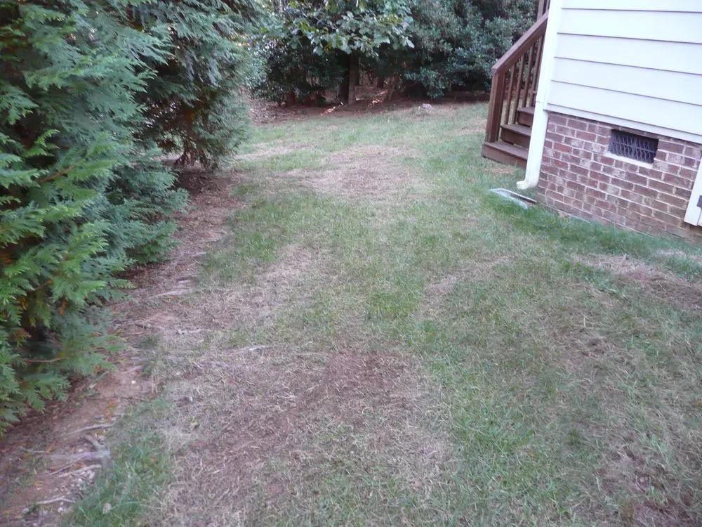 Reliable landscape installation for year-round maintenance in Apex, NC by Apex Lawn Company