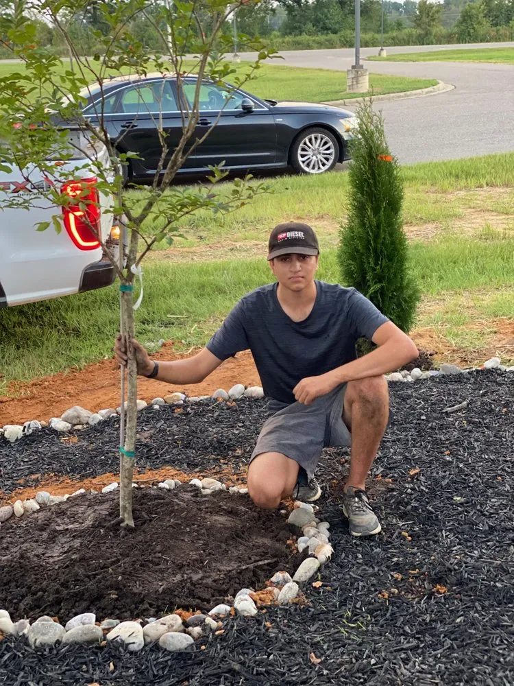 Expert landscape design experts serving Apex, NC - Apex Lawn Company