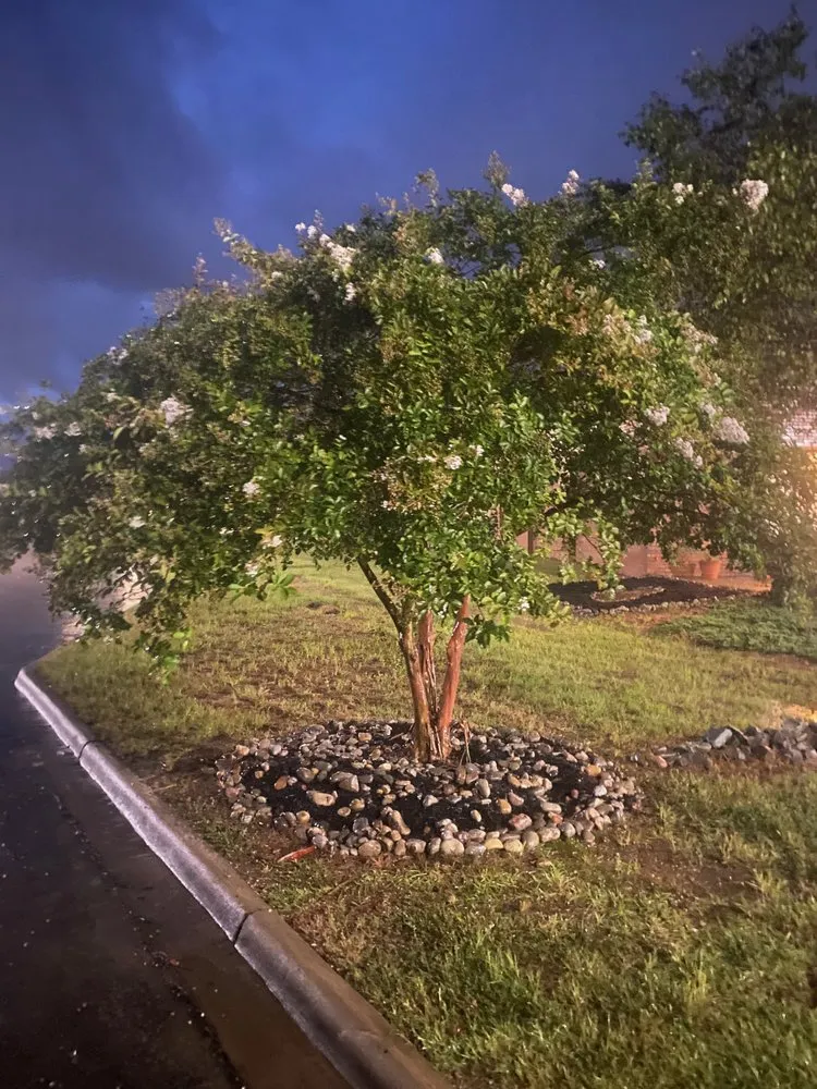 Top-rated landscaping services in Apex, NC - Apex Lawn Company