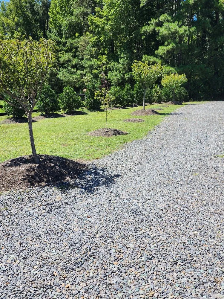 Trusted yard maintenance for year-round maintenance in Apex, NC by Apex Lawn Company