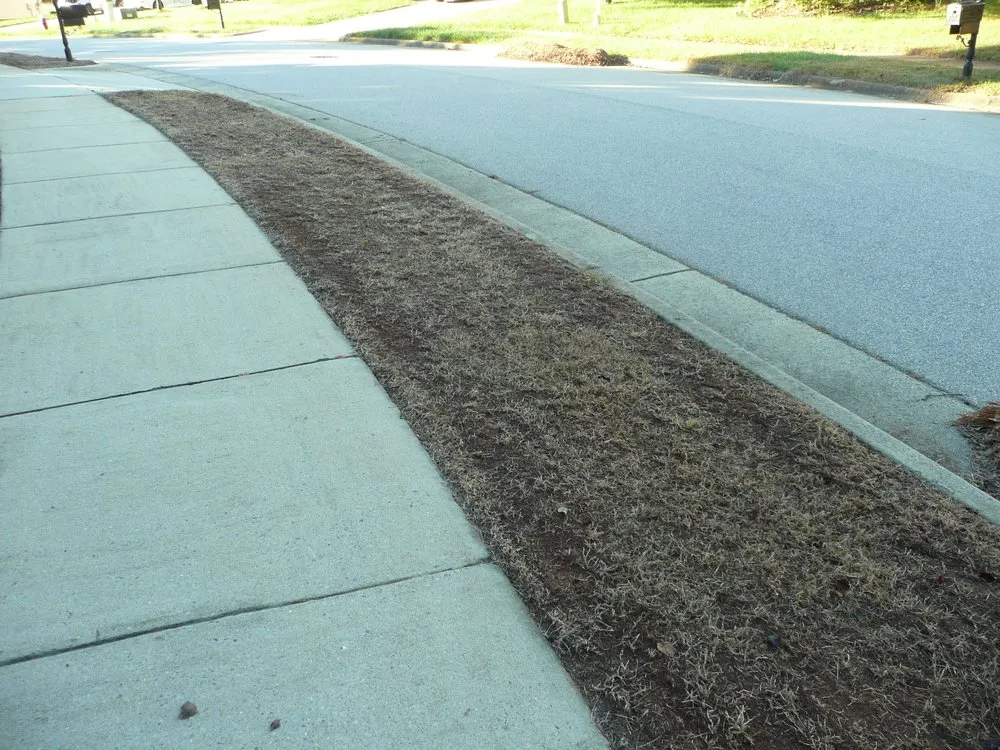 Local landscape installation in Apex, NC - Apex Lawn Company