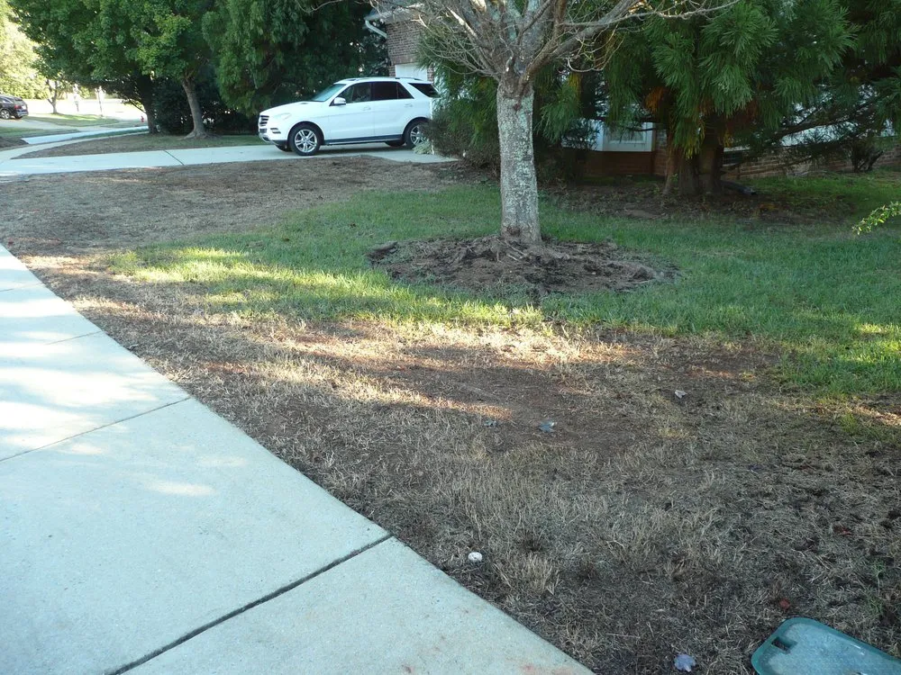 Top-rated garden landscaping in Apex, NC by Apex Lawn Company