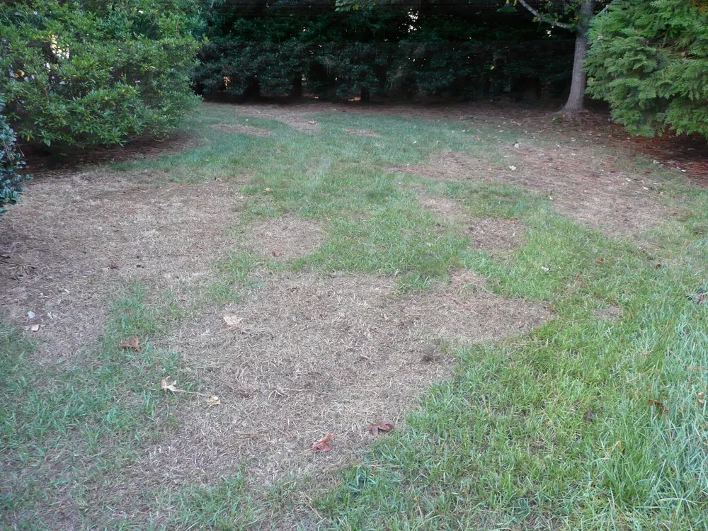 Affordable garden landscaping in Apex, NC by Apex Lawn Company