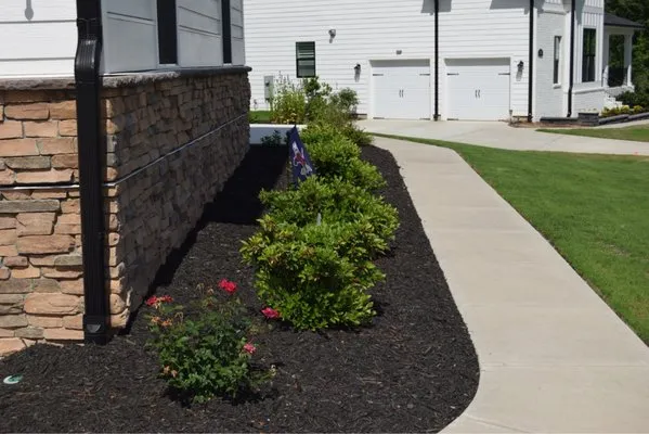 Apex Lawn Company Logo