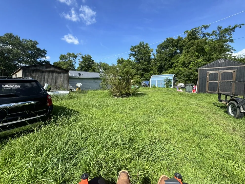 Reliable landscaping services in Dyersburg, TN - Apex Lawn