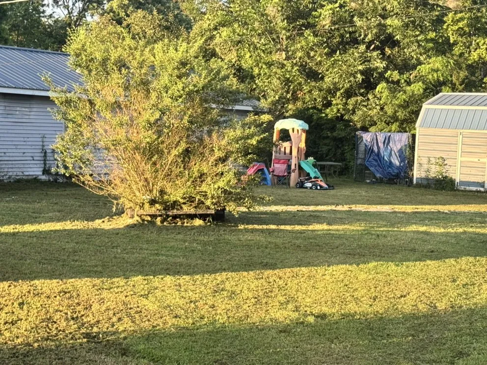 Expert yard cleanup service for residential properties across Dyersburg, TN - Apex Lawn