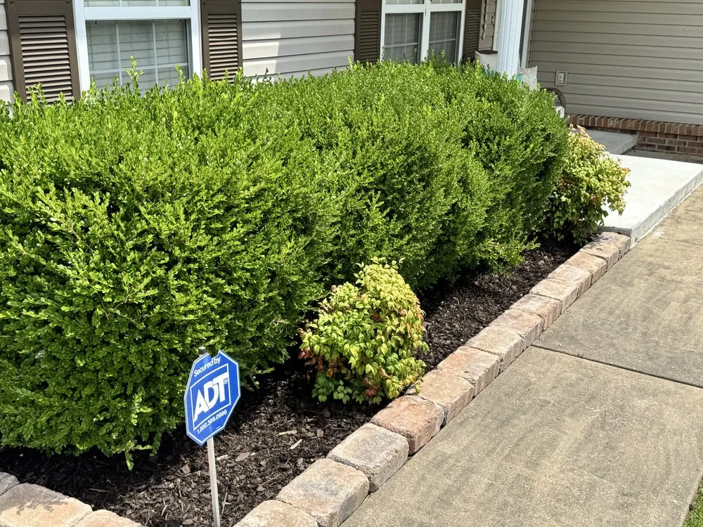 Trusted garden landscaping for homes across Dyersburg, TN - Apex Lawn