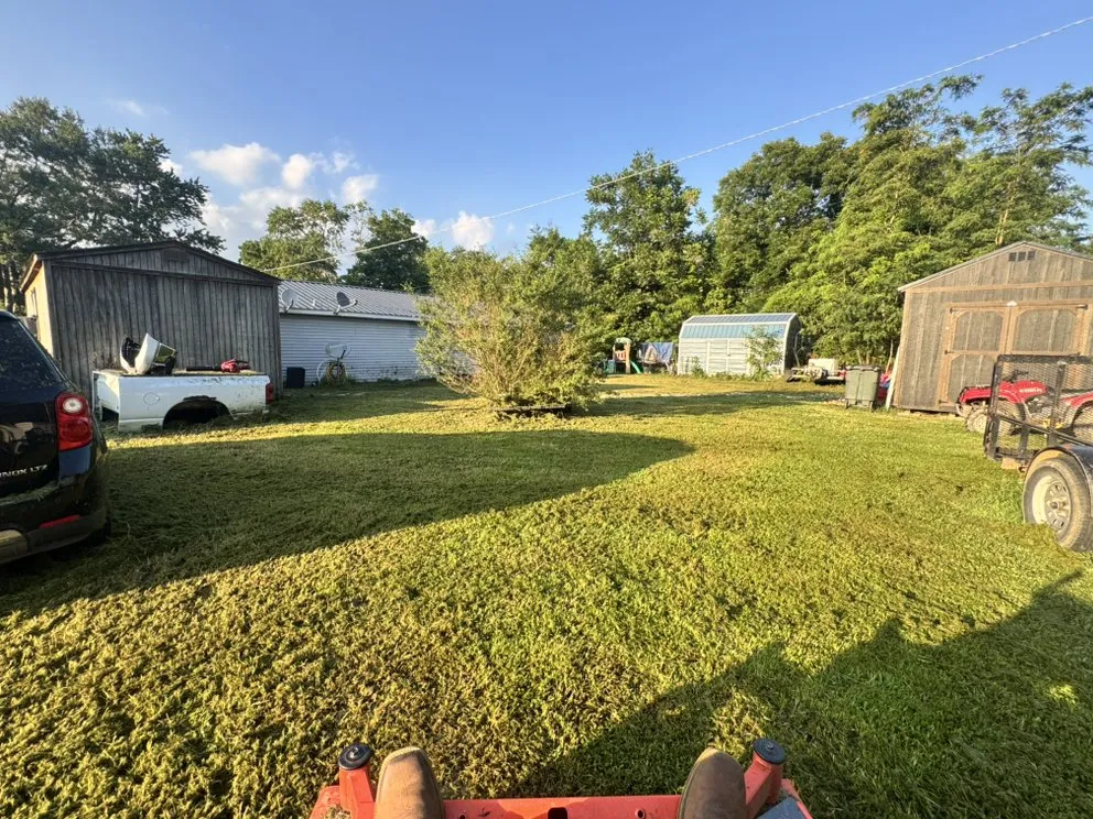 Local yard cleanup service in Dyersburg, TN - Apex Lawn